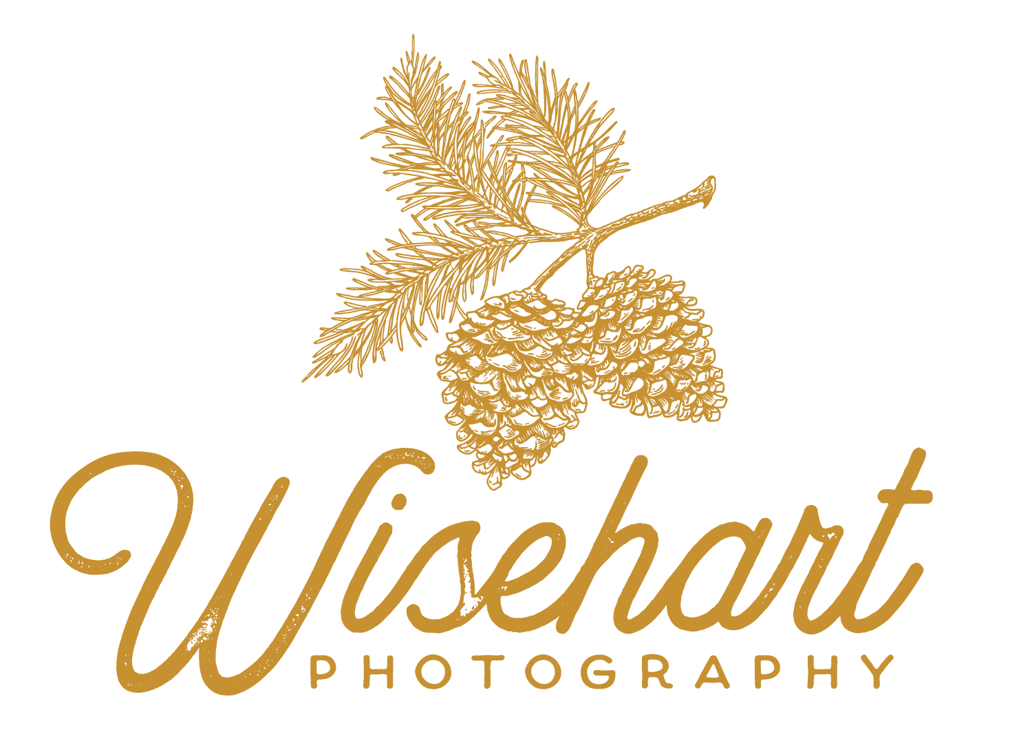 wisehart_logo_primary