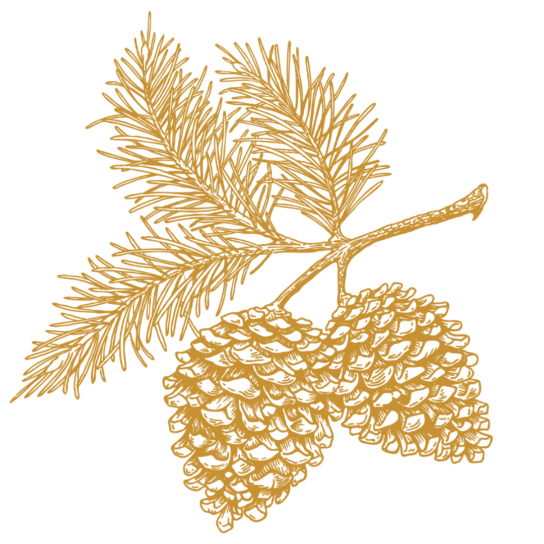 wisehart_pinecone_gold